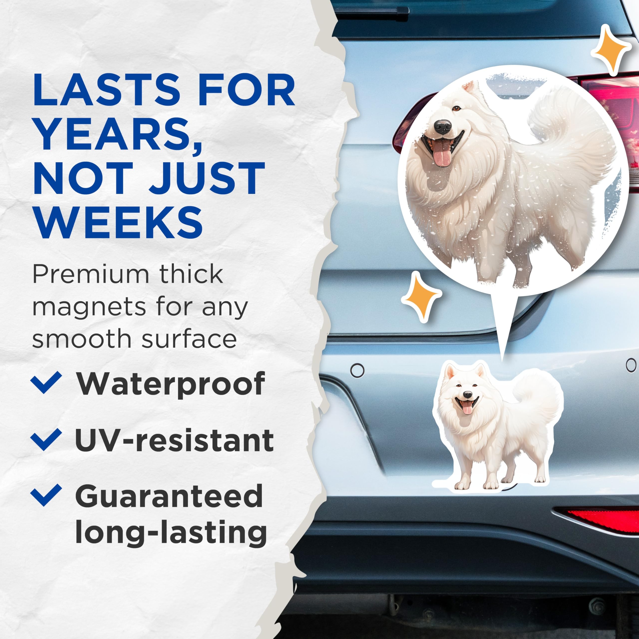 (2 Pack) Samoyed Magnets - White Fluffy Dog Decor - Happy Pet Owner Accessory - Puppy Breed Art - 5 Inches On Longest Side - Thick Durable Magnet - Made in USA - MAG26456