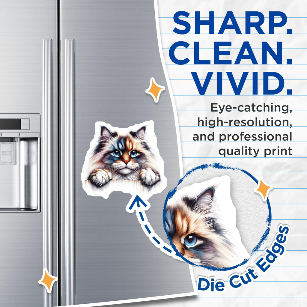 (2 Pack) Ragdoll Cat Magnets - Cute Kitten Fridge Magnets - Pet Lover Decor - 5" On Longest Side - Premium Magnet - for Cars, Refrigerators, Toolboxes, Lockers - Made in USA - MAG14207