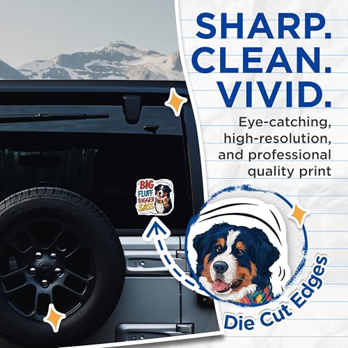 (2 Pack) Dog Stickers - Big Fluff Bigger Sass - 5" On Longest Side - Sticks to Smooth Flat Surfaces - Made in USA - BMCS8517 - BMCS8517
