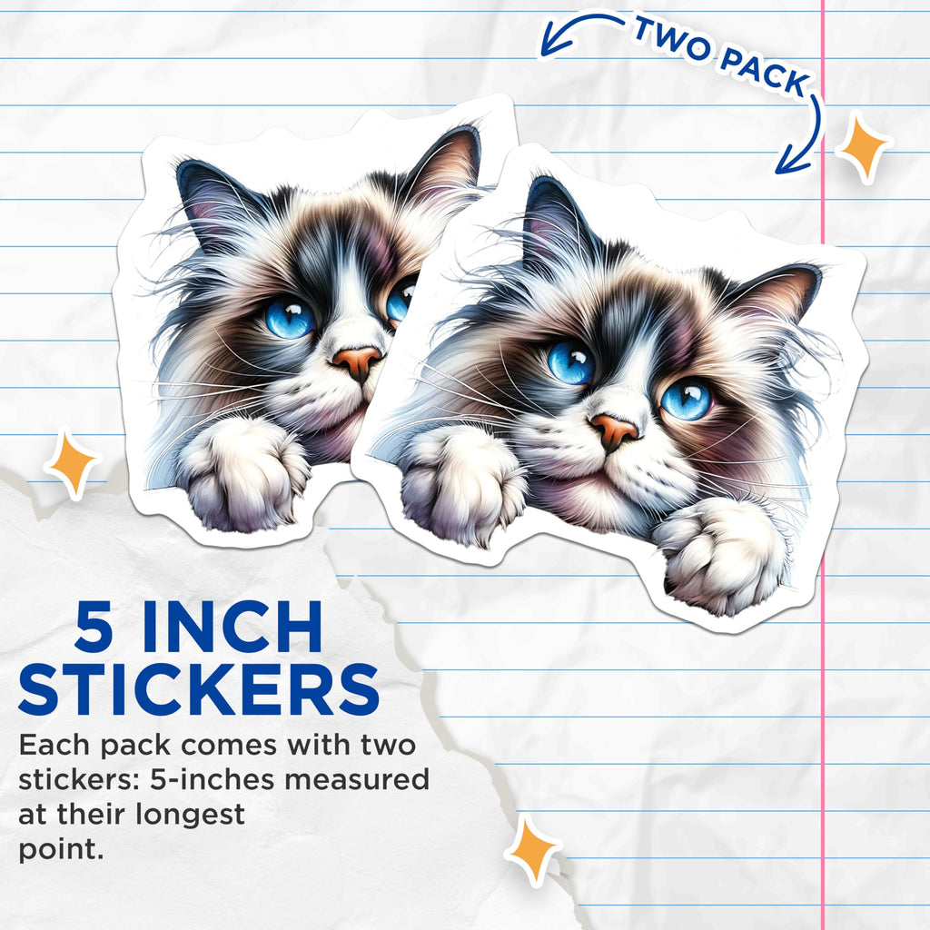 (2 Pack) Ragdoll Cat Stickers - Cute Cat Decal - Blue Eyes Stickers - 5" On Longest Side - Sticks to Smooth Flat Surfaces - Made in USA - BMCS15060