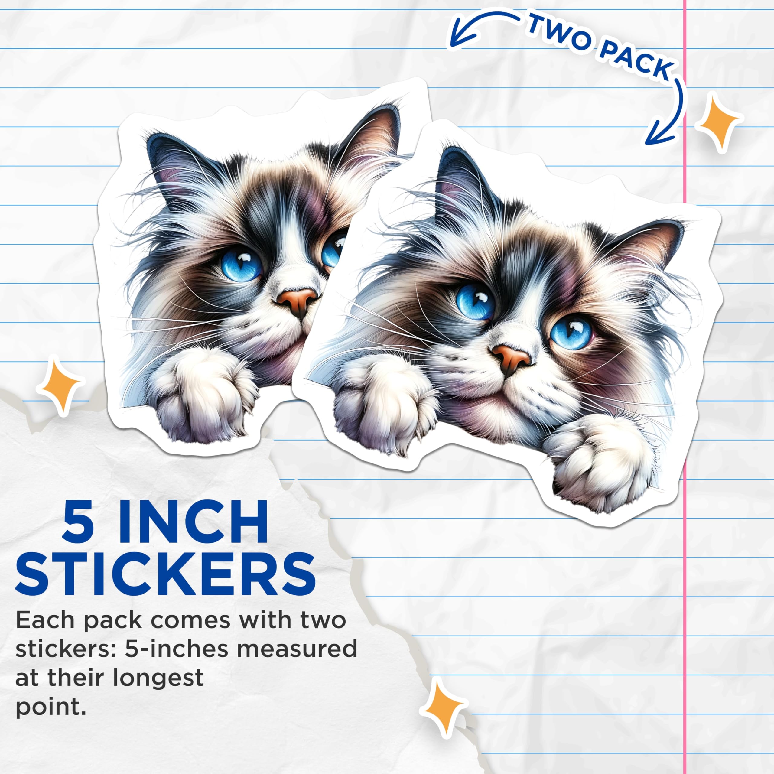 (2 Pack) Ragdoll Cat Stickers - Cute Cat Decal - Blue Eyes Stickers - 5" On Longest Side - Sticks to Smooth Flat Surfaces - Made in USA - BMCS15060