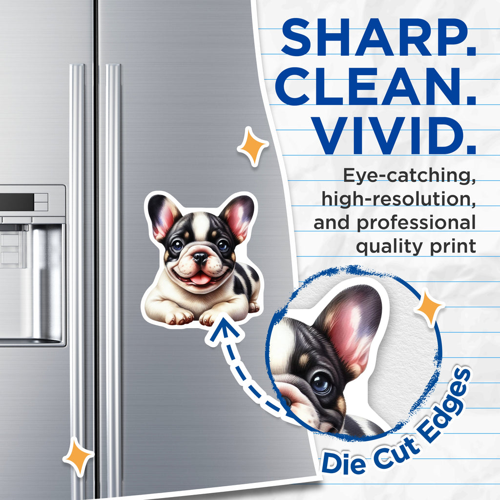 (2 Pack) French Bulldog Magnets - Cute Frenchie Puppy - Pet Lover Decor - 5 Inches On Longest Side - Thick Durable Magnet - Made in USA - MAG39203