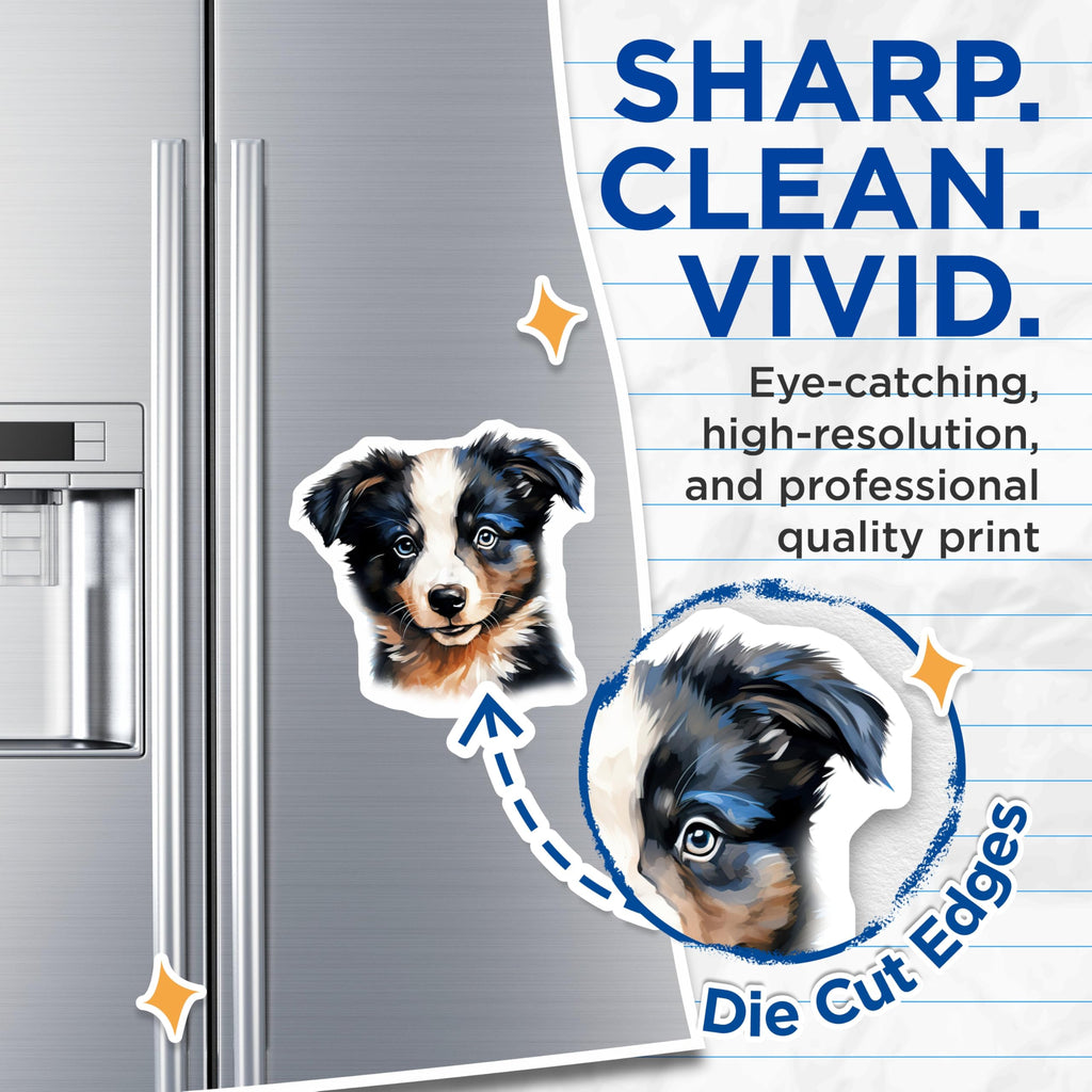 (2 Pack) Border Collie Puppy Magnets - Cute Dog Art - Dog Mom Home Decor - 5 Inches On Longest Side - Thick Durable Magnet - Made in USA - MAG26012