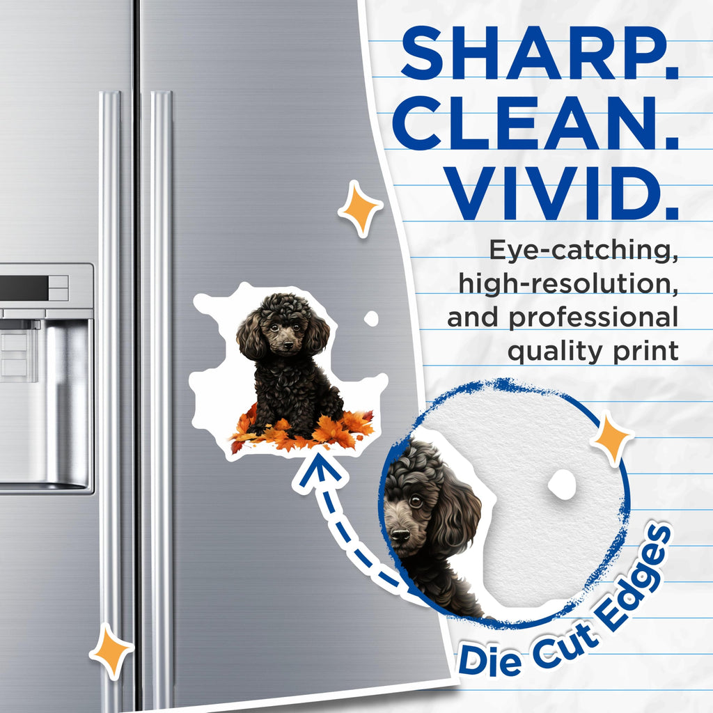 (2 Pack) Black Poodle Puppy Magnets - Autumn Leaves Dog Lover Decor - Fall Refrigerator Magnets for Poodle Mom - 5 Inches On Longest Side - Thick Durable Magnet - Made in USA - MAG26320