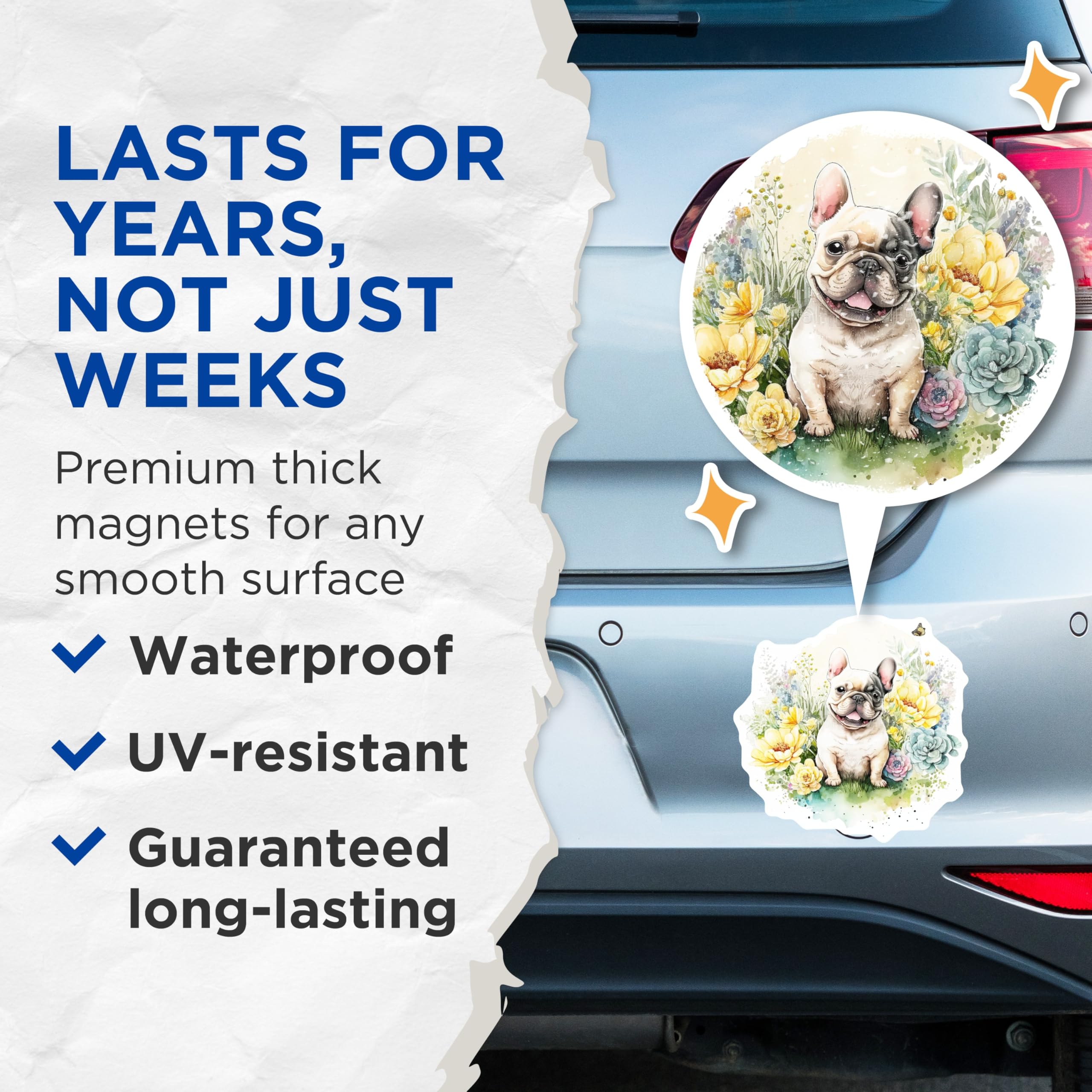 (2 Pack) French Bulldog Magnets - Floral Dog Art - Fridge Magnets - 5" On Longest Side - Premium Magnet - for Cars, Refrigerators, Toolboxes, Lockers - Made in USA - MAG14689