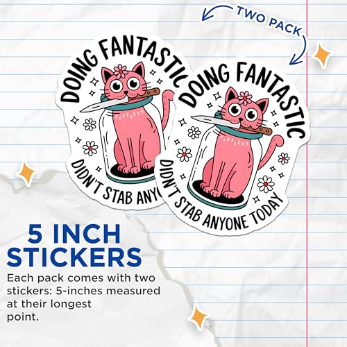 (2 Pack) Doing Fantastic Stickers - Cat Meme Stickers - Funny Motivational Stickers - 5" On Longest Side - Sticks to Smooth Flat Surfaces - Made in USA - BMCS4560