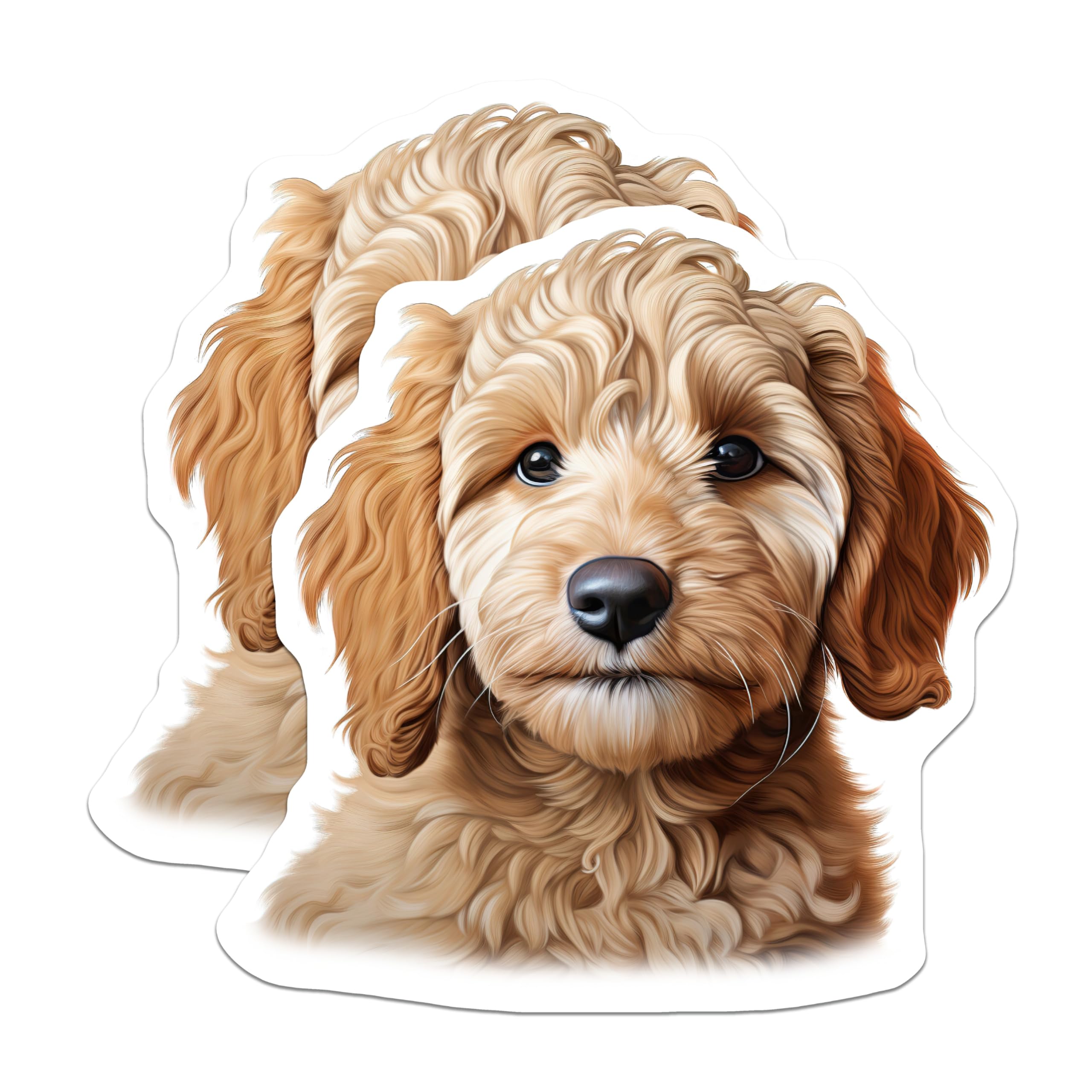 (2 Pack) Goldendoodle Puppy Magnets - Cute Dog Lover Decor - Pet Parent Refrigerator Accessory - 5 Inches On Longest Side - Thick Durable Magnet - Made in USA - MAG30267