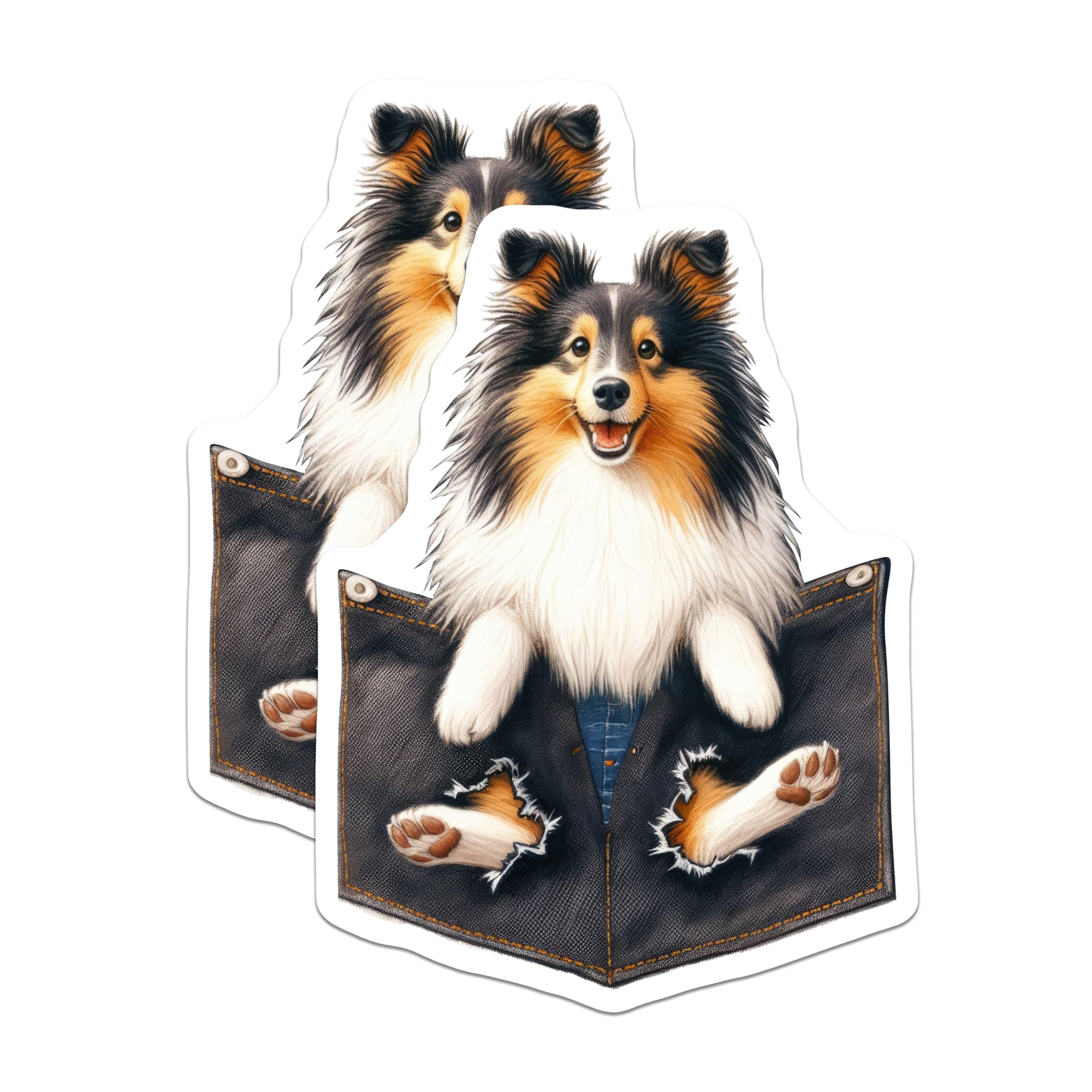 (2 Pack) Cute Sheltie Dog Stickers - Sheltie Art - Cute Dog Lover Decals - - 5" On Longest Side - Sticks to Smooth Flat Surfaces - Made in USA - BMCS4400