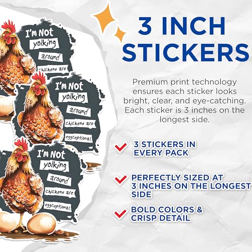 (3 Pack) Chicken Decals - Funny Egg Puns - Chicken Lover Laptop Decal - 3 Inches On Longest Side - Easy Peel & Apply - Made in USA - 3MCS1459