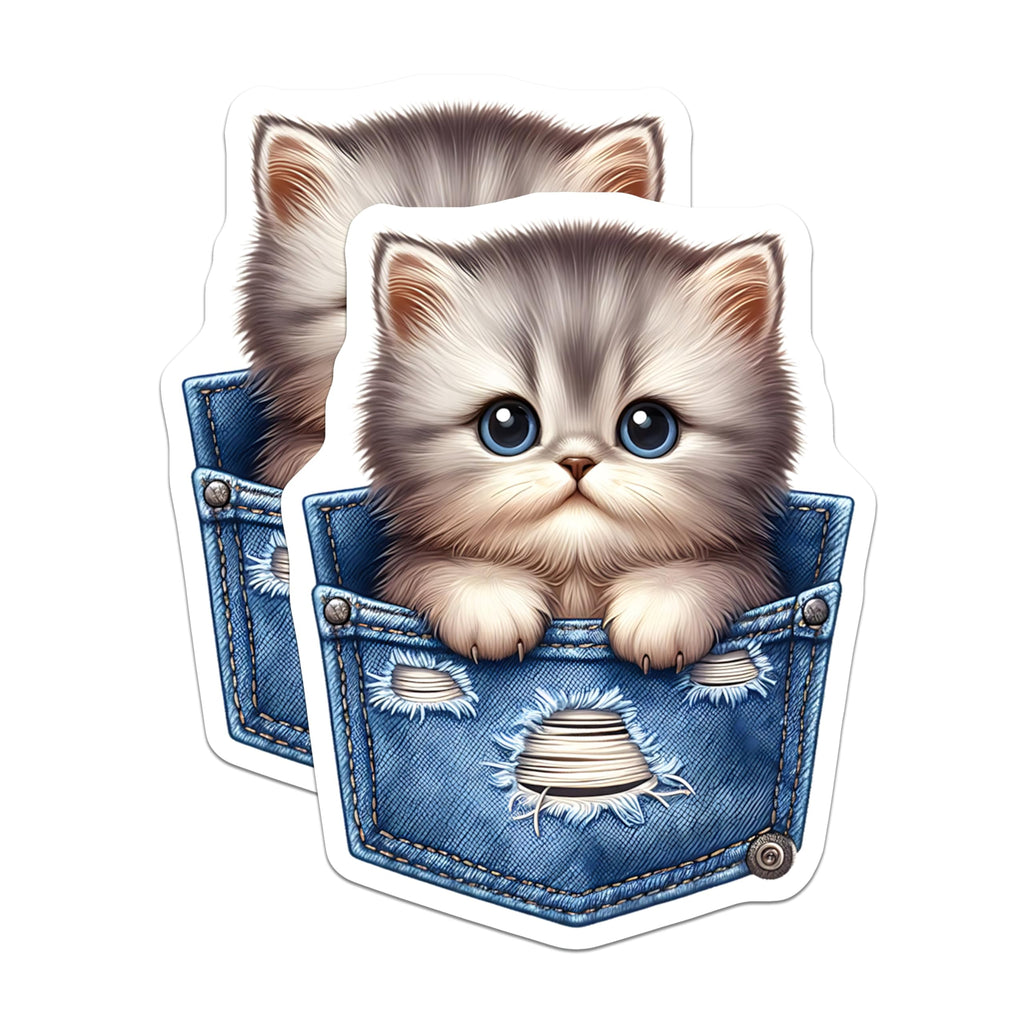 (2 Pack) Kitten Magnets - Pocket Cat Art - Refrigerator Magnets - 5" On Longest Side - Premium Magnet - for Cars, Refrigerators, Toolboxes, Lockers - Made in USA - MAG15751