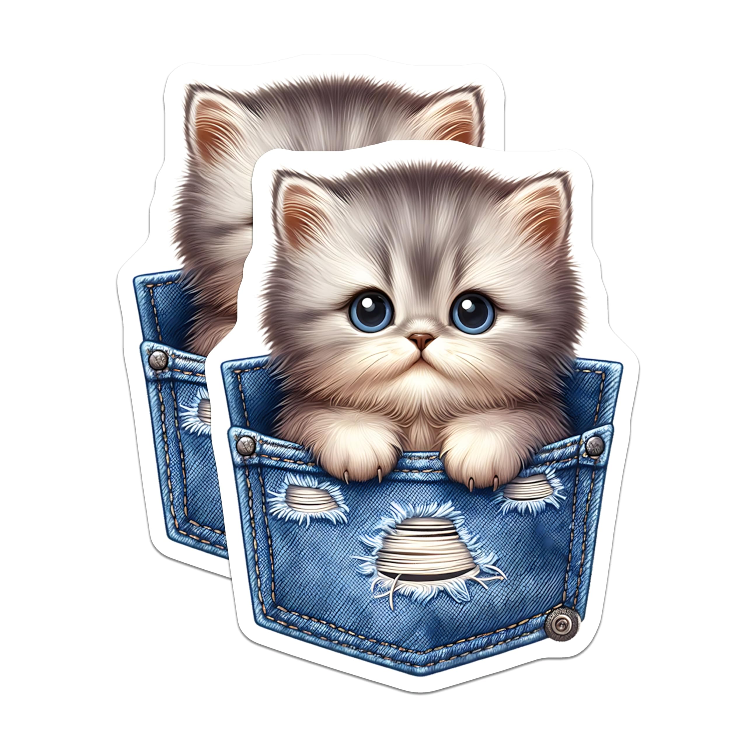 (2 Pack) Kitten Magnets - Pocket Cat Art - Refrigerator Magnets - 5" On Longest Side - Premium Magnet - for Cars, Refrigerators, Toolboxes, Lockers - Made in USA - MAG15751