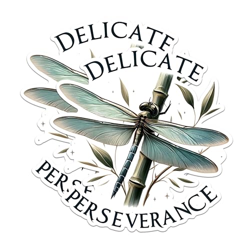 (2 Pack) Delicate Perseverance Stickers - Dragonfly Art Stickers - Nature Inspirational Stickers - 5" On Longest Side - Sticks to Any Smooth Flat Surface - Made in USA - BMCS2684