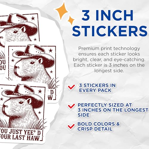 (3 Pack) Capybara Cowboy Decals - Funny Rodent - You Just Yee'd Your Last Haw - 3 Inches On Longest Side - Easy Peel & Apply - Made in USA - 3MCS1097