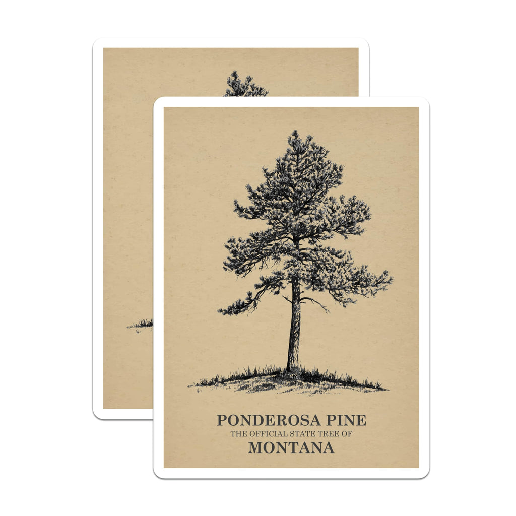 (2 Pack) Ponderosa Pine Magnets - Montana State Tree Art - Nature Inspired Home Decor - 5" On Longest Side - Premium Magnet - for Cars, Refrigerators, Toolboxes, Lockers - Made in USA - MAG17357