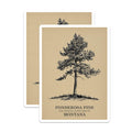 (2 Pack) Ponderosa Pine Magnets - Montana State Tree Art - Nature Inspired Home Decor - 5" On Longest Side - Premium Magnet - for Cars, Refrigerators, Toolboxes, Lockers - Made in USA - MAG17357