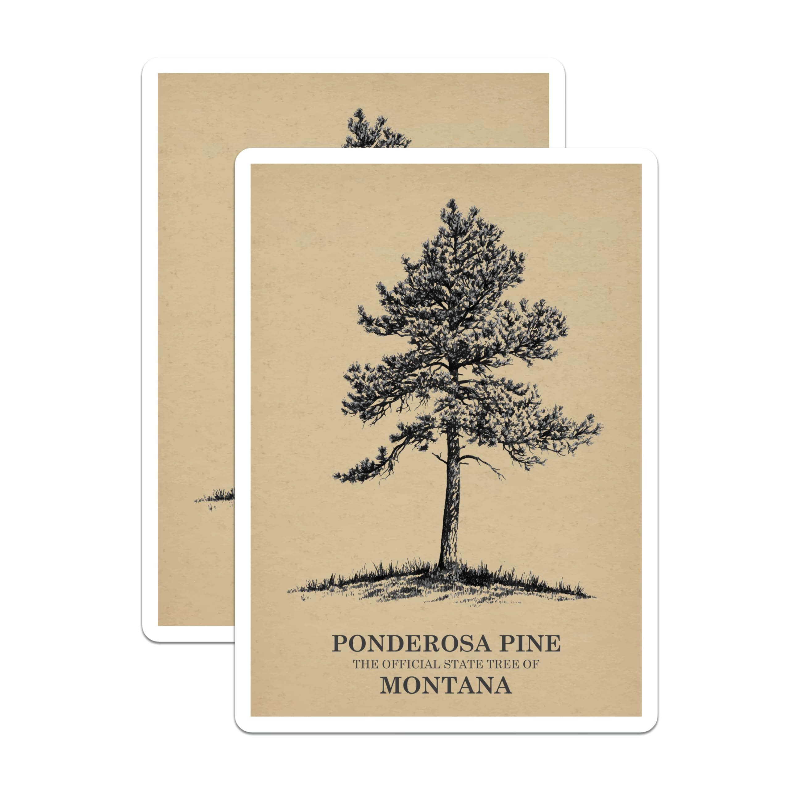(2 Pack) Ponderosa Pine Magnets - Montana State Tree Art - Nature Inspired Home Decor - 5" On Longest Side - Premium Magnet - for Cars, Refrigerators, Toolboxes, Lockers - Made in USA - MAG17357