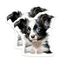 (2 Pack) Border Collie Puppy Magnets - Blue Eyed Dog Mom - Cute Pet Lover Decor - 5 Inches On Longest Side - Thick Durable Magnet - Made in USA - MAG30331