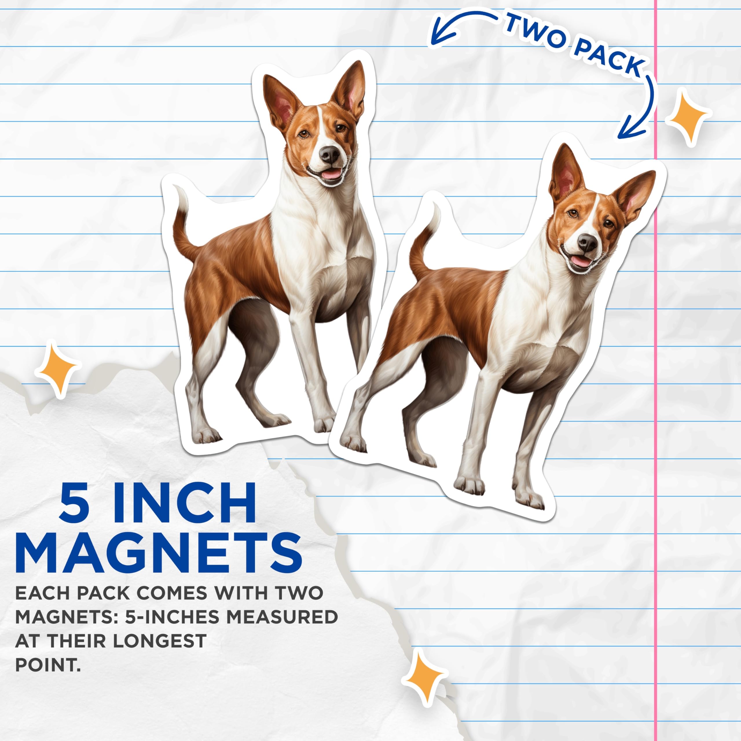 (2 Pack) Basenji Dog Magnets - Unique Pet Lover Decor for Kitchen Fridge - Happy Canine Art Home Accessories - 5 Inches On Longest Side - Thick Durable Magnet - Made in USA - MAG30675