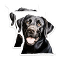 (2 Pack) Black Labrador Magnets - Dog Lover Decor - Pet Owner Kitchen Accent - 5 Inches On Longest Side - Thick Durable Magnet - Made in USA - MAG30393