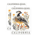 (2 Pack) California Quail Magnets - State Bird Magnets - Nature Lover Decor - 5" On Longest Side - Premium Magnet - for Cars, Refrigerators, Toolboxes, Lockers - Made in USA - MAG17394