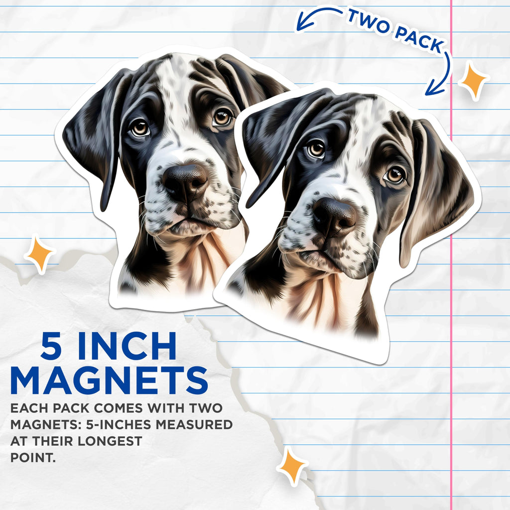 (2 Pack) Great Dane Puppy Magnets - Harlequin Dog Art - Pet Lover Home Decor - 5 Inches On Longest Side - Thick Durable Magnet - Made in USA - MAG23363
