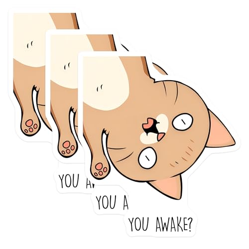 (3 Pack) Upside Down Cat Decals - Funny Cat Sticker - You Awake Decal - 3 Inches On Longest Side - Easy Peel & Apply - Made in USA - 3MCS6580
