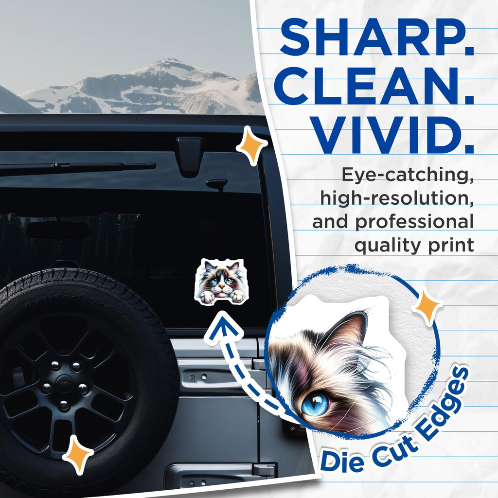 (2 Pack) Ragdoll Cat Stickers - Cute Cat Decal - Blue Eyes Stickers - 5" On Longest Side - Sticks to Smooth Flat Surfaces - Made in USA - BMCS15060