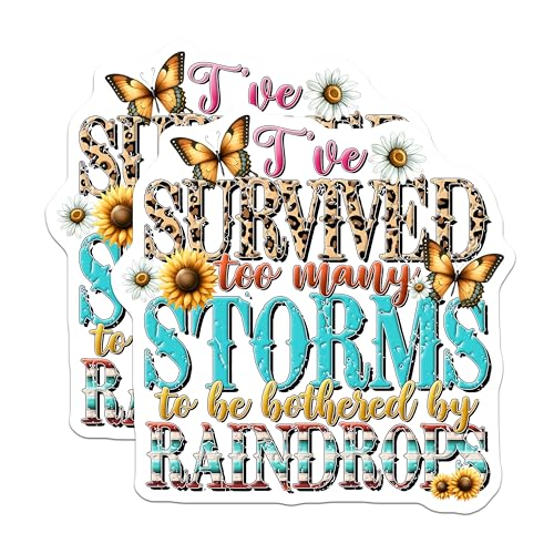 (2 Pack) I've Survived Too Many Storms Magnets - Inspirational Quote Magnets - Motivational Home Decor - 5" On Longest Side - for Cars, Refrigerators, Toolboxes, Lockers - Made in USA BMCS3223