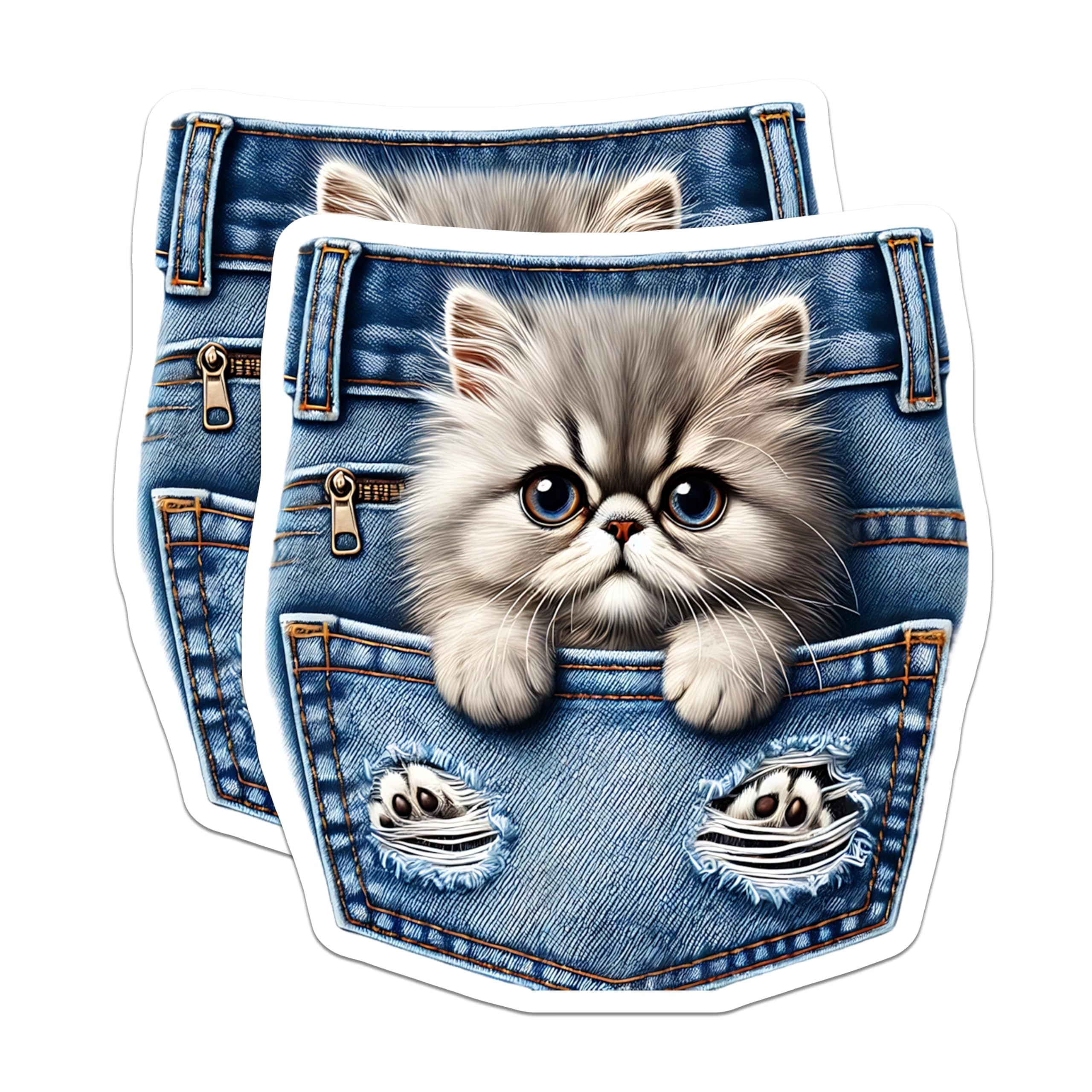 (2 Pack) Cute Cat Magnets - Pocket Kitten - Fridge Decor - 5" On Longest Side - Premium Magnet - for Cars, Refrigerators, Toolboxes, Lockers - Made in USA - MAG16208