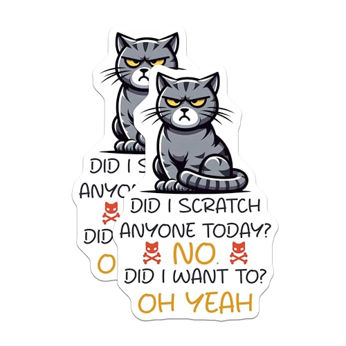 (2 Pack) Funny Cat Stickers - Did I Scratch Anyone Today Humor - Cute Pet Pun Decal - 5" On Longest Side - Sticks to Smooth Flat Surfaces - Made in USA - BMCS7348