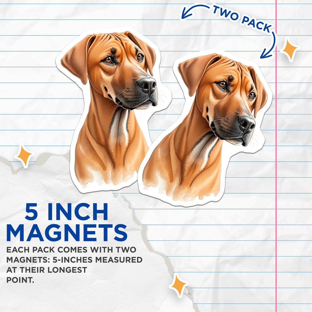 (2 Pack) Rhodesian Ridgeback Dog Magnets - Majestic Canine Pet Owner Home Decor - Animal Lover Fridge Art - 5 Inches On Longest Side - Thick Durable Magnet - Made in USA - MAG37934