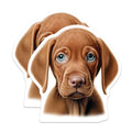 (2 Pack) Sad Puppy Eyes Magnets - Vizsla Dog Lover Accessory - Refrigerator Decor for Pet Parents - 5 Inches On Longest Side - Thick Durable Magnet - Made in USA - MAG26588