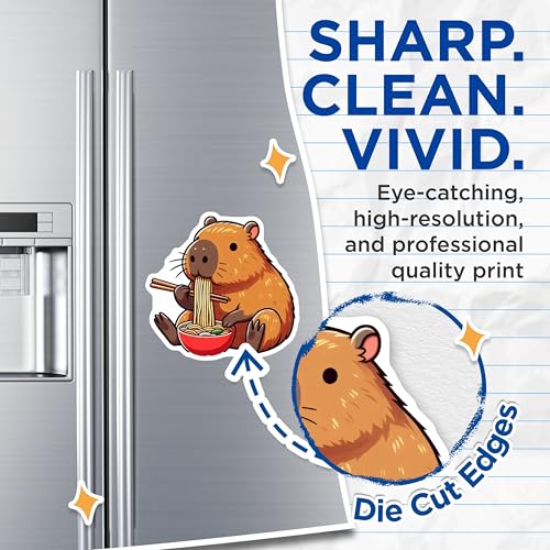 (2 Pack) Capybara Kitchen Decor Magnet - 5" On Longest Side - Sticks to Smooth Flat Surfaces - Made in USA - MAG9911