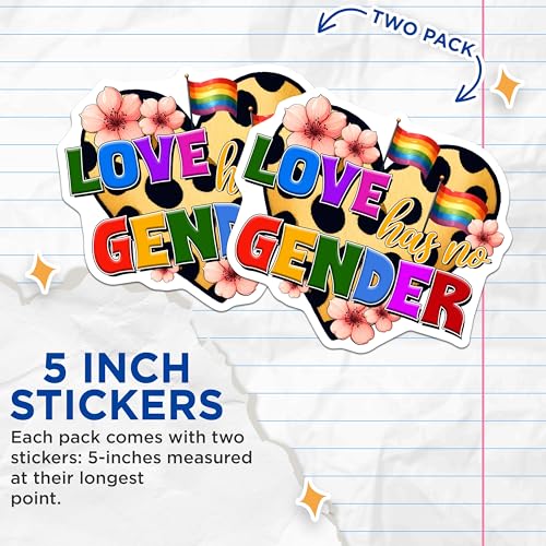 (2 Pack) Love Has No Gender Stickers - LGBT Pride - Rainbow Heart Decal - 5" On Longest Side - Sticks to Smooth Flat Surfaces - Made in USA - BMCS8258