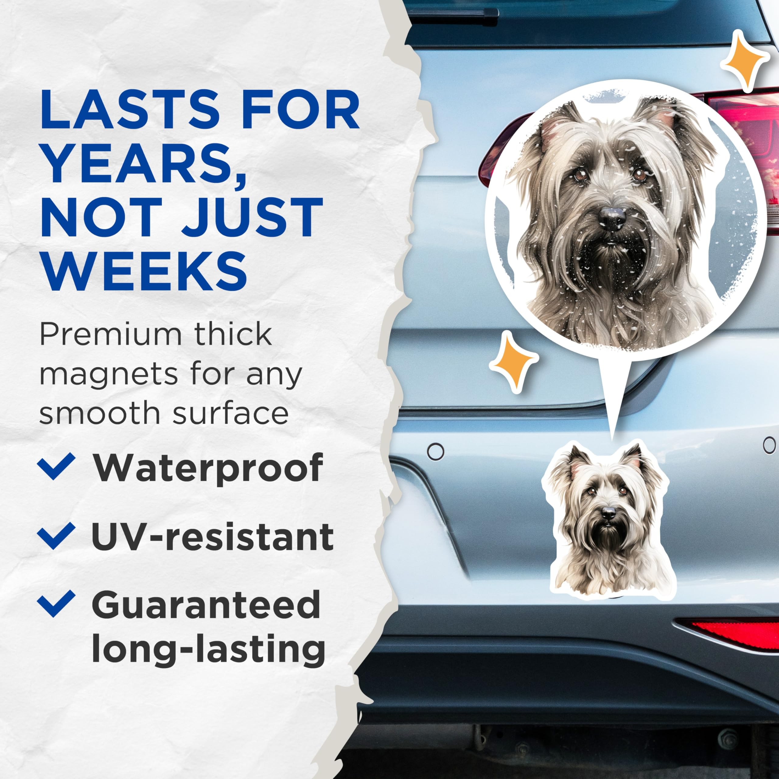 (2 Pack) Cairn Terrier Magnets - Dog Lover Kitchen Decor - Pet Owner Refrigerator Art - 5 Inches On Longest Side - Thick Durable Magnet - Made in USA - MAG26308