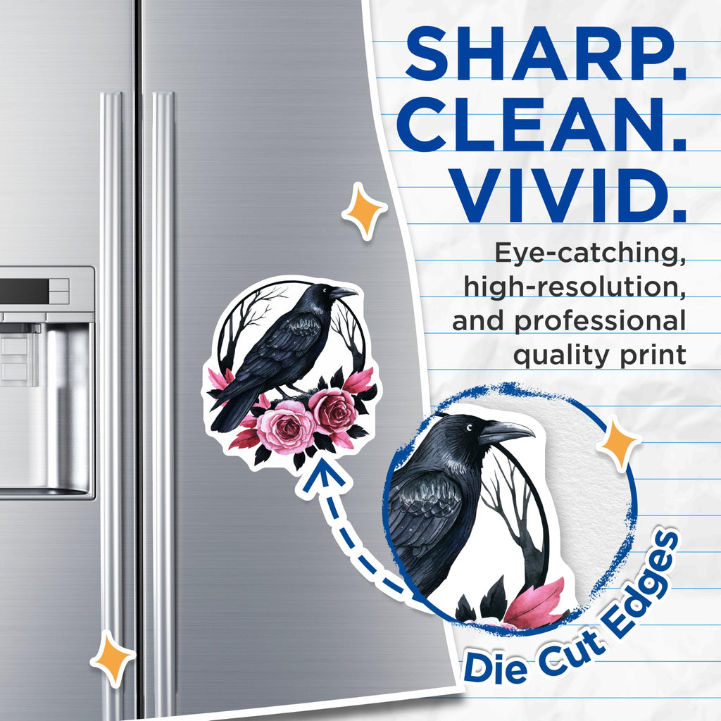 (2 Pack) Raven Magnets - Gothic Home Decor - Bird and Roses Fridge Magnets - 5" On Longest Side - Premium Magnet - for Cars, Refrigerators, Toolboxes, Lockers - Made in USA - MAG17871