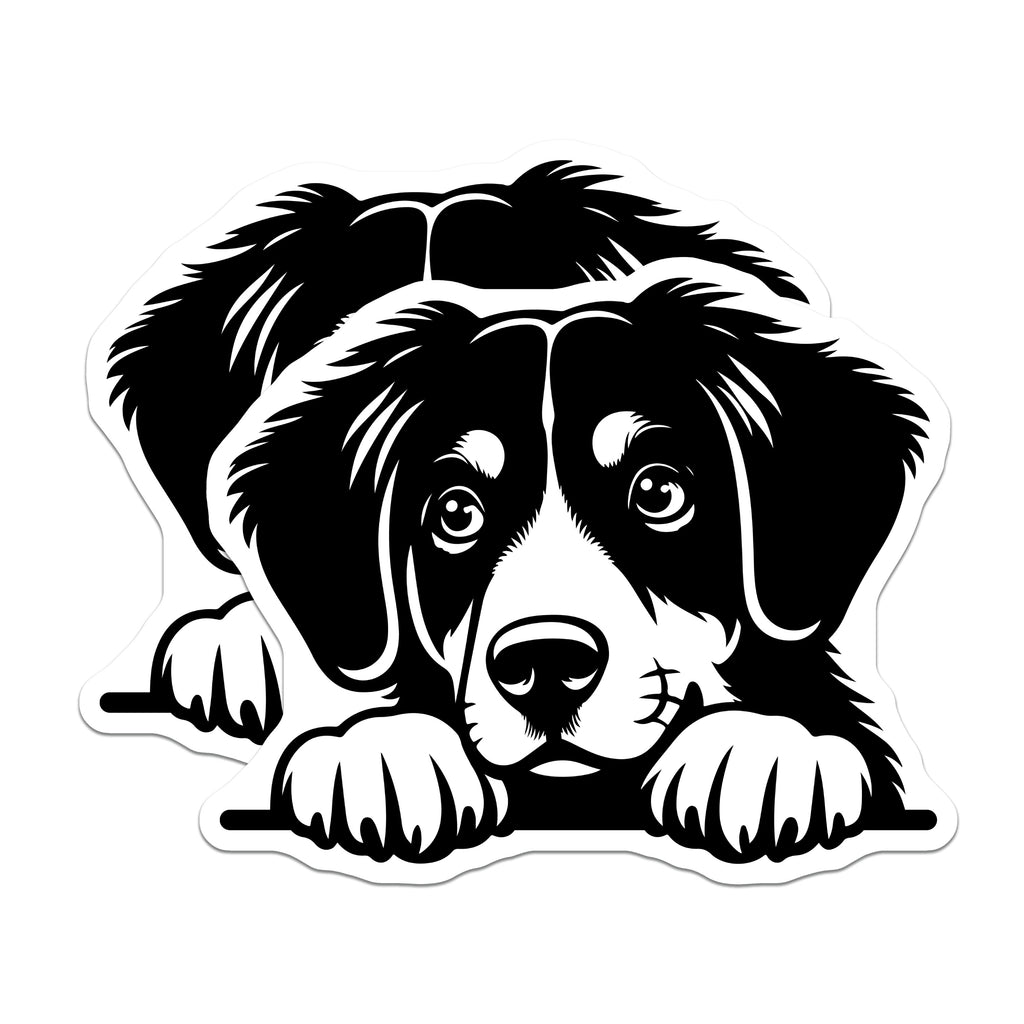 (2 Pack) Bernese Mountain Dog Magnets - Cute Puppy Fridge Decor - Dog Lover Kitchen Accessories - 5 Inches On Longest Side - Thick Durable Magnet - Made in USA - MAG38386