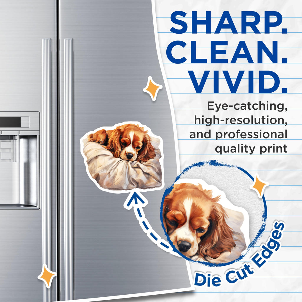 (2 Pack) Cavalier Spaniel Magnets - Sleeping Dog Breed - Refrigerator Decor - 5" On Longest Side - Premium Magnet - for Cars, Refrigerators, Toolboxes, Lockers - Made in USA - MAG17097