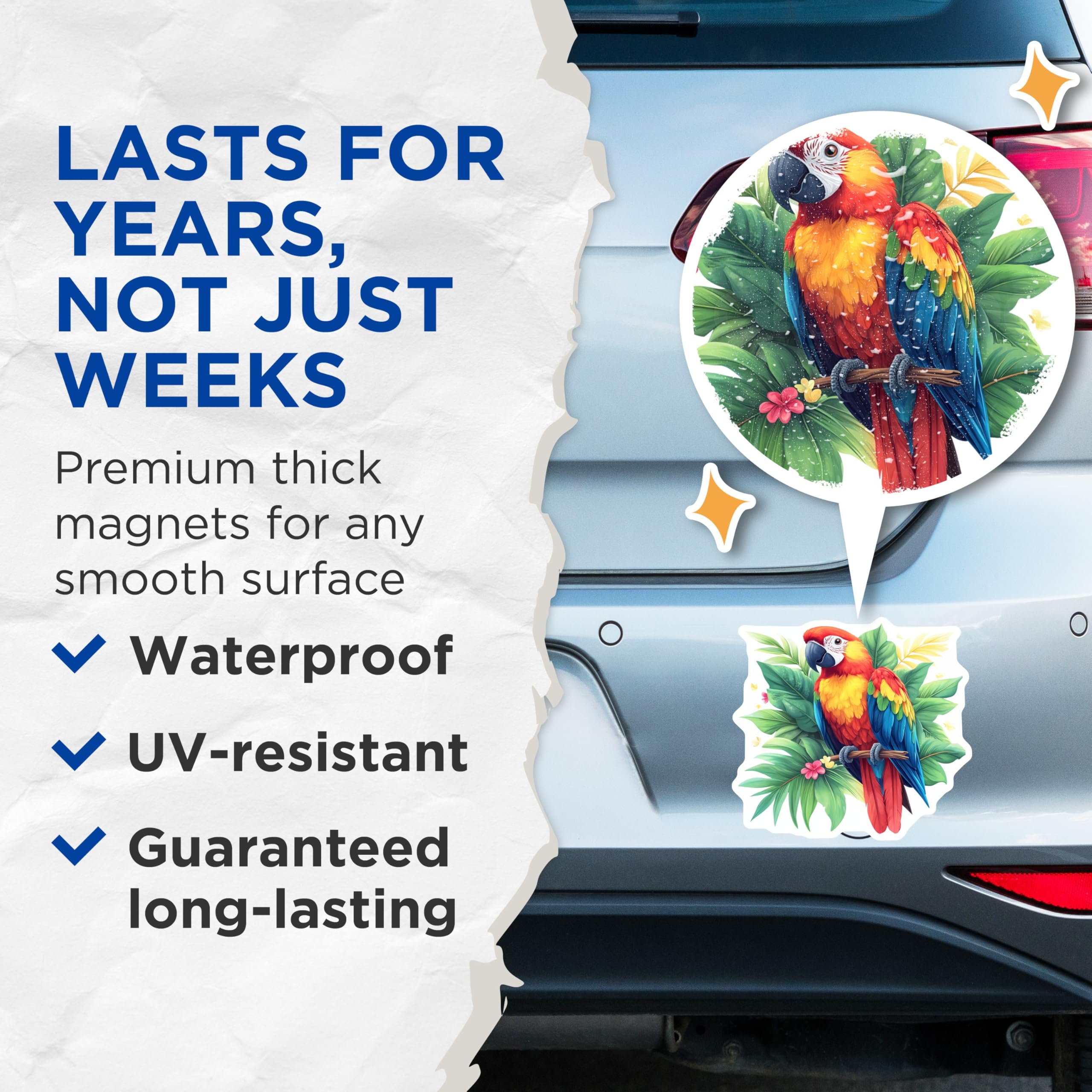 (2 Pack) Scarlet Macaw Parrot Magnets - Colorful Tropical Bird Art - Exotic Jungle Wildlife Nature Decor Display - 5 Inches On Longest Side - Thick Durable Magnet - Made in USA - MAG24118