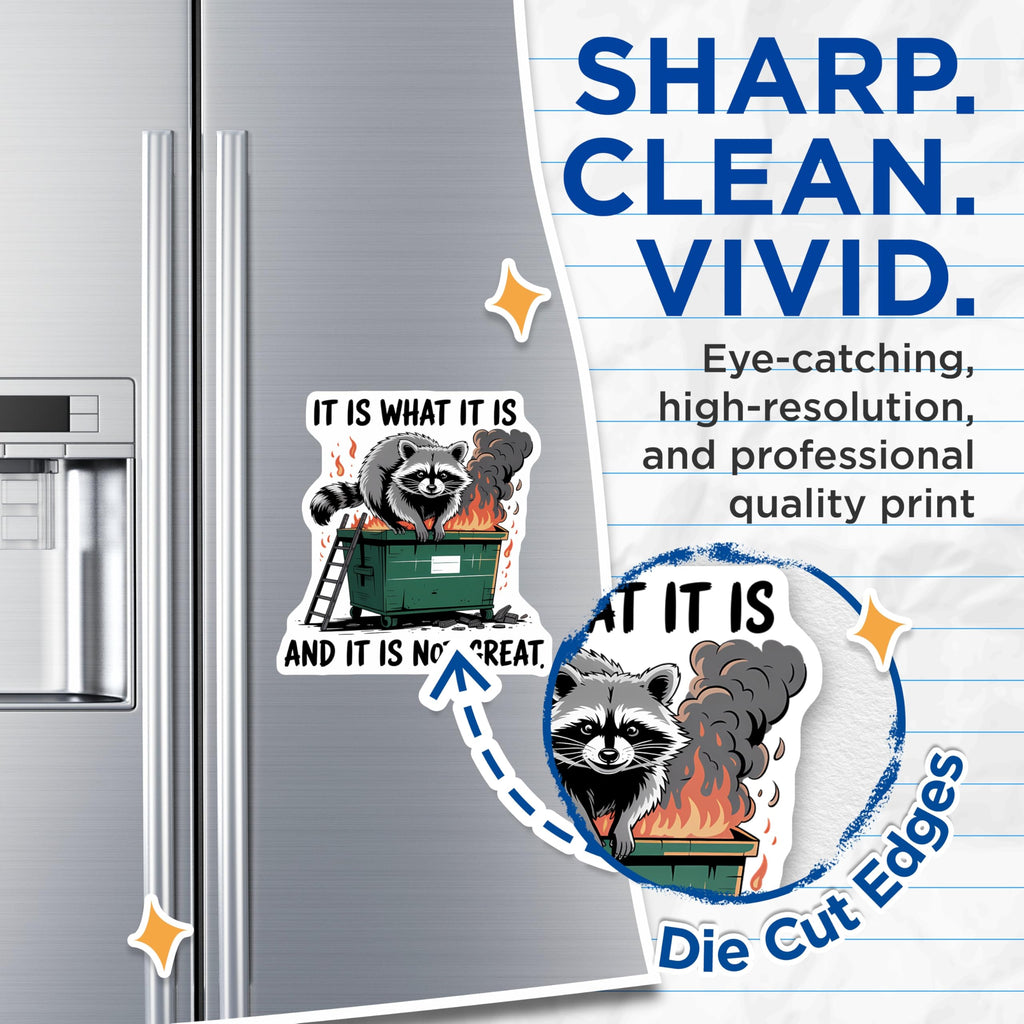 (2 Pack) Raccoon Dumpster Fire Magnets - It is What It is Not Great - Funny Meme Refrigerator Decal - 5 Inches On Longest Side - Thick Durable Magnet - Made in USA - MAG20930