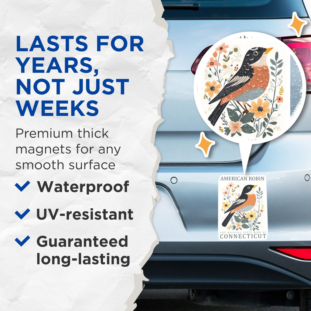 (2 Pack) American Robin Magnets - Connecticut State Bird Decor - Folk Art Wildlife Collectible - 5 Inches On Longest Side - Thick Durable Magnet - Made in USA - MAG19210