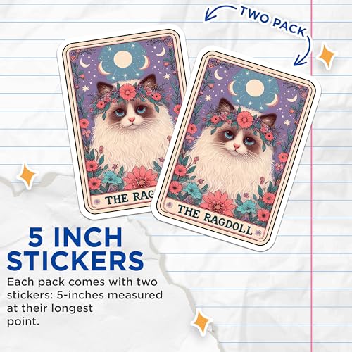 (2 Pack) Cute Cat Stickers - Ragdoll Cat Art Stickers - Floral Cat Decor Stickers - Kitty Illustration Decals - 5" On Longest Side - Sticks to Smooth Flat Surfaces - Made in USA - BMCS5277
