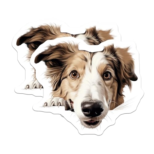 (2 Pack) Animal Decor Magnet - 5" On Longest Side - Sticks to Smooth Flat Surfaces - Made in USA - MAG9883