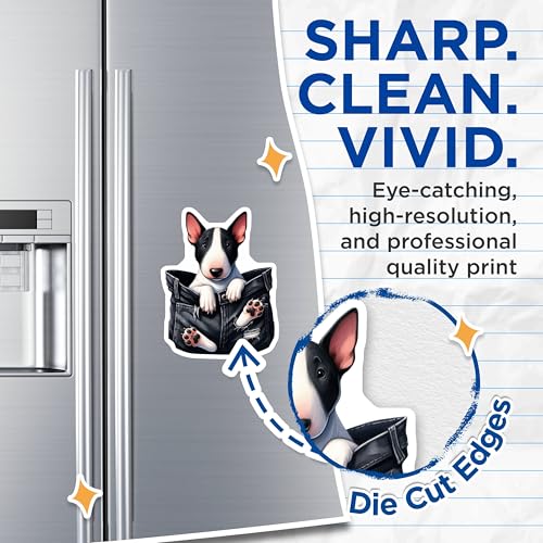 (2 Pack) Bull Terrier Magnets - Cute Dog Fridge Magnet - Animal Magnet - 5" On Longest Side - for Cars, Fridges, Toolboxes - Made in USA - MAG3953
