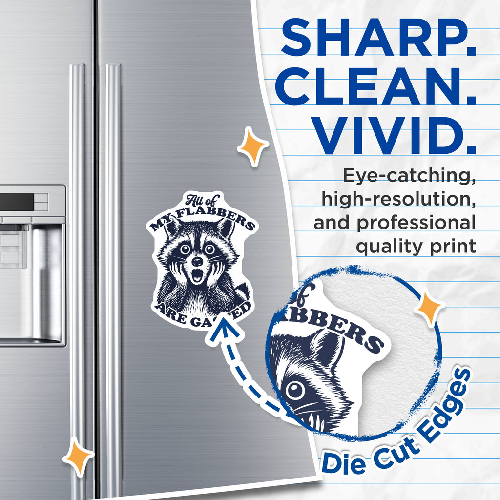(2 Pack) Flabbergasted Raccoon Magnets - Funny Meme Animal - Quirky Fridge Locker Decor - 5 Inches On Longest Side - Thick Durable Magnet - Made in USA - MAG39638