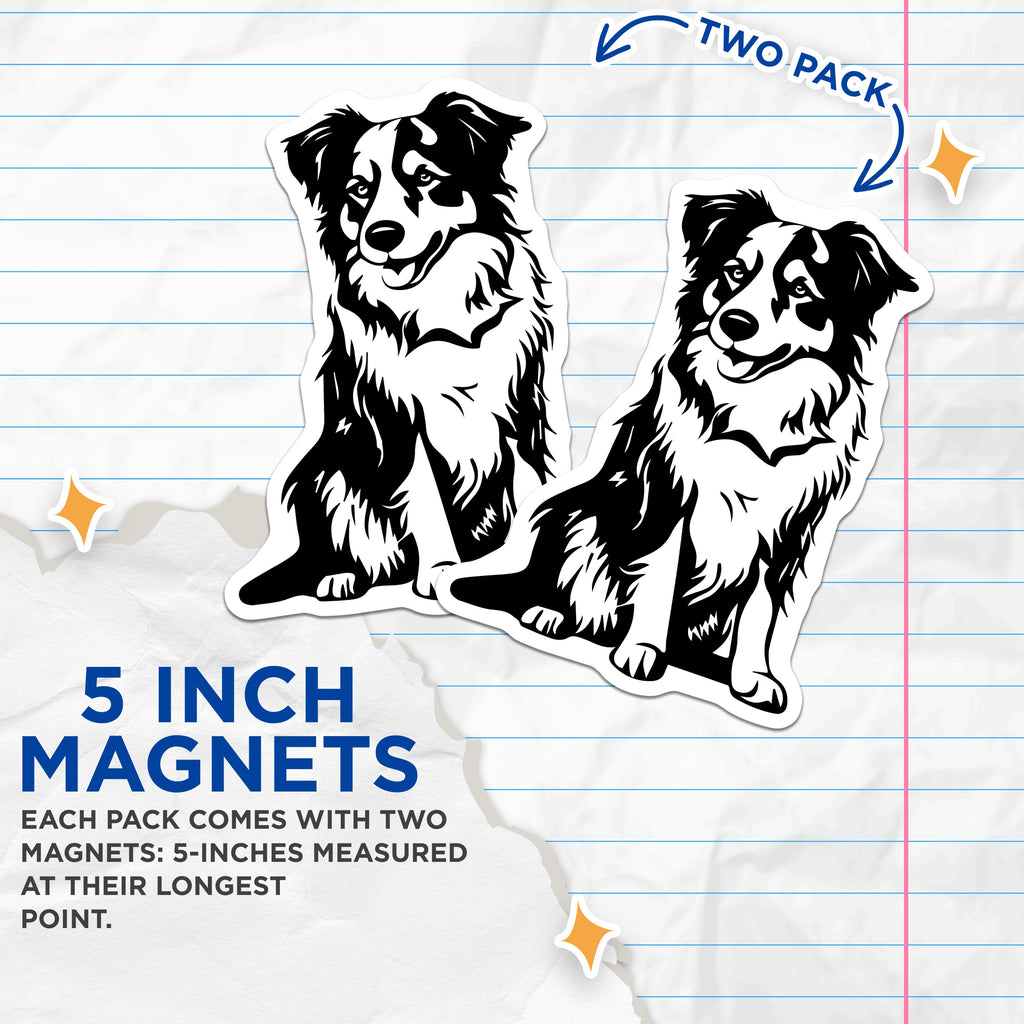 (2 Pack) Border Collie Magnets - Dog Lover Decor - Pet Owner Accessories - 5 Inches On Longest Side - Thick Durable Magnet - Made in USA - MAG36912