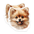 (2 Pack) Cute Pomeranian Dog Magnets - Fluffy Puppy Refrigerator Decor - Pet Parent Accessory for Dog Lovers - 5 Inches On Longest Side - Thick Durable Magnet - Made in USA - MAG30879