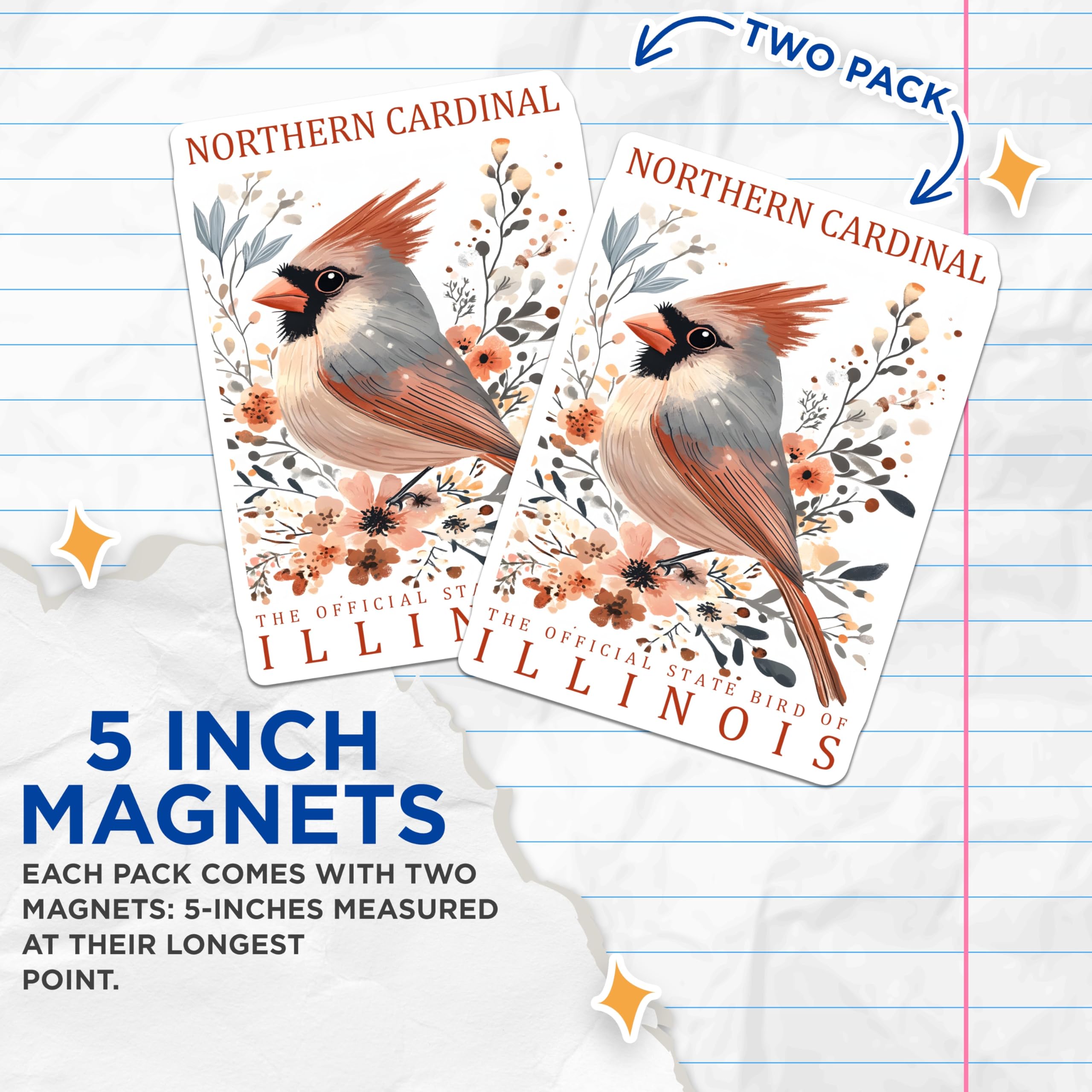 (2 Pack) Northern Cardinal Magnets - Illinois State Bird - Floral Bird Magnets - 5" On Longest Side - Premium Magnet - for Cars, Refrigerators, Toolboxes, Lockers - Made in USA - MAG17207
