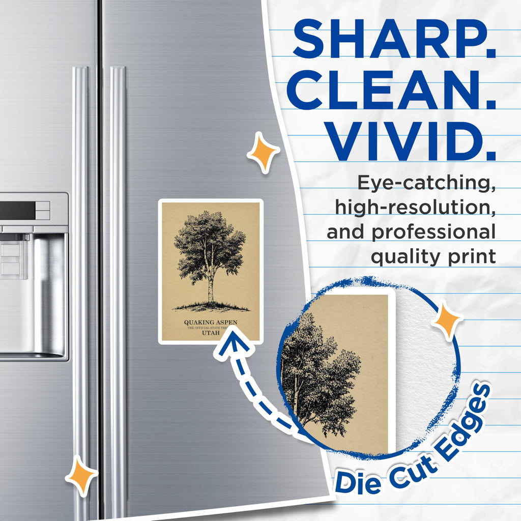 (2 Pack) Quaking Aspen Magnets - Utah State Tree Souvenir - Botanical Art Decoration - 5" On Longest Side - Premium Magnet - for Cars, Refrigerators, Toolboxes, Lockers - Made in USA - MAG17862