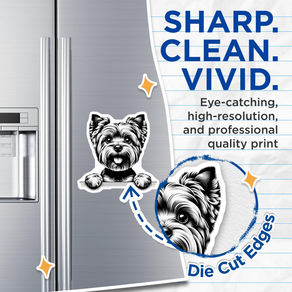 (2 Pack) Yorkshire Terrier Magnets - Cute Dog Art - Fridge Magnets - 5" On Longest Side - Premium Magnet - for Cars, Refrigerators, Toolboxes, Lockers - Made in USA - MAG15392